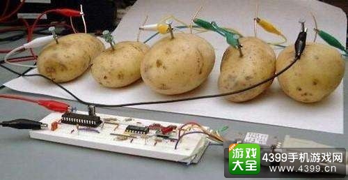 光影对决精灵系统优化