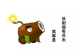 植物大战僵尸2