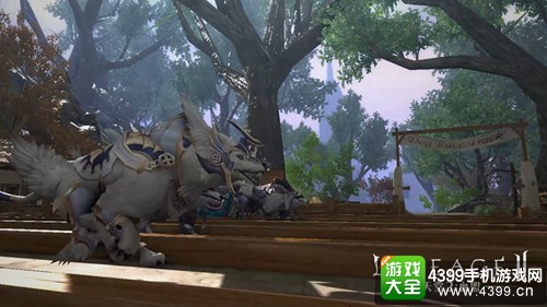 赛狗场