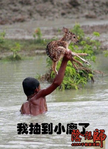阴阳师小鹿男
