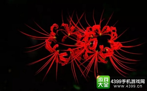 植物大战僵尸2