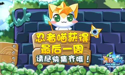 奥奇传说忍者神喵获得 最后一周