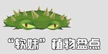 《植物大战僵尸2》那些“软妹”植物盘点，可以这很女生