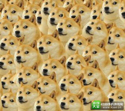 犬夜叉的原型竟然是柴犬？帅气设定一秒崩塌