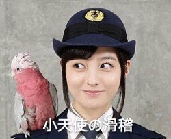桥本环奈