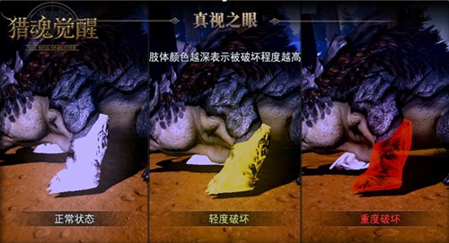 猎魂觉醒