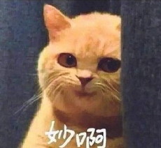 生死狙击青林歪弹(tán)第22期 官方说明里永远看不到的故事
