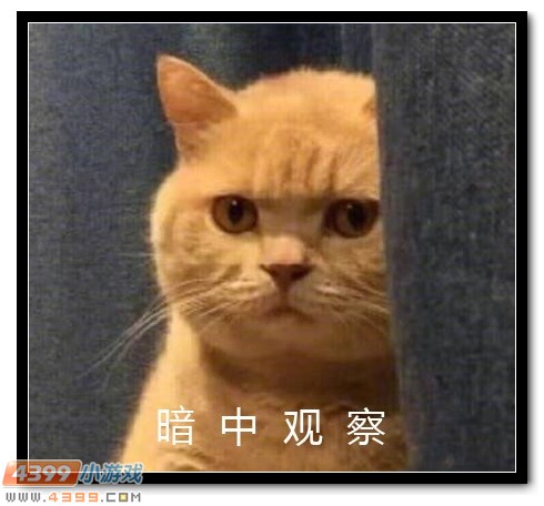 4399生死狙击暗中观察 无人机游隼登场