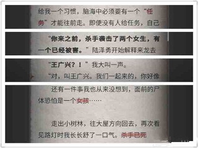 流言侦探N的调查报告