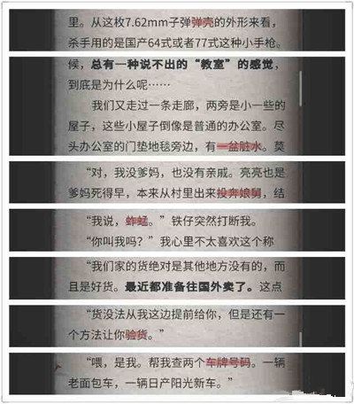 流言侦探N的调查报告