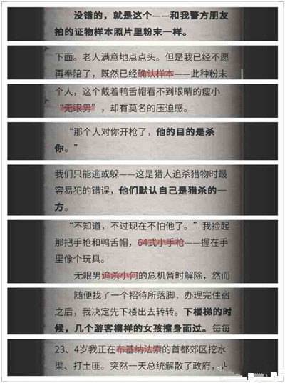 流言侦探N的调查报告