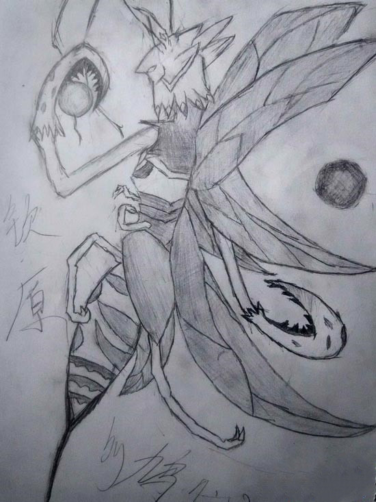 钦原-4399鸠心