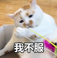 生死狙击青林歪弹(tán)第25期 正经向讨论-武器对比究竟有多大的意义?