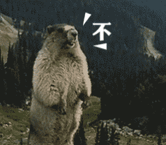 表情包
