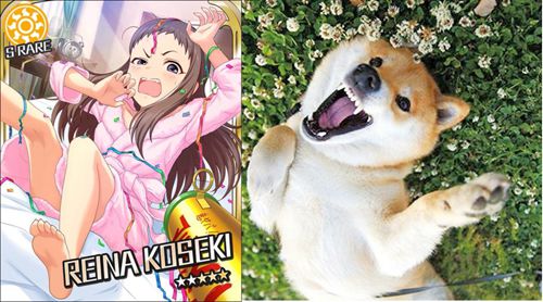 柴犬魔性cos偶像大师