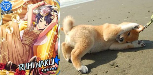 柴犬魔性cos偶像大师