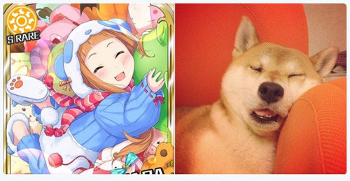 柴犬魔性cos偶像大师