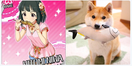 柴犬魔性cos偶像大师