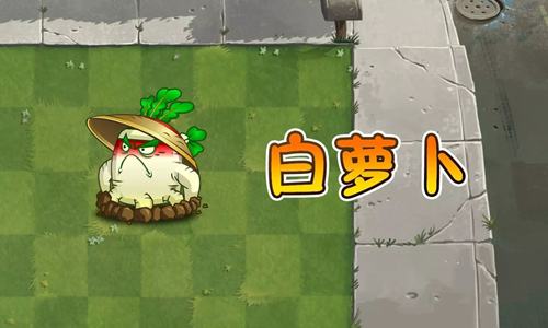 《植物大战僵尸2》那些冷门植物的正确打开方式