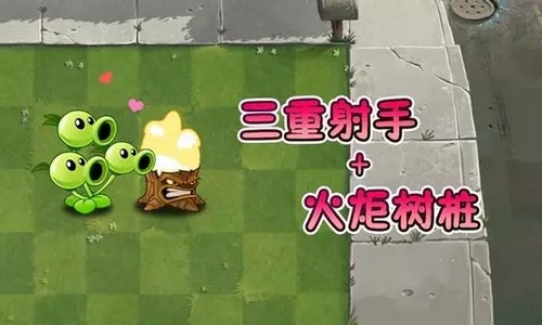 植物大战僵尸2