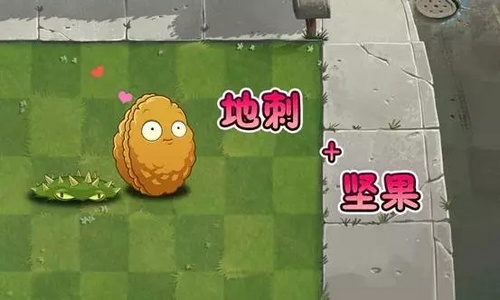 植物大战僵尸2