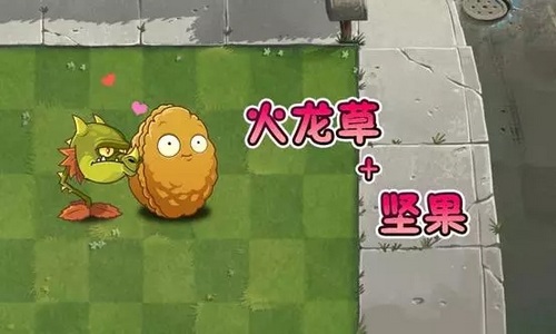植物大战僵尸2