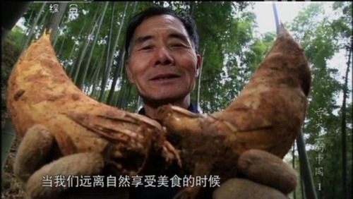 舌尖上的中国