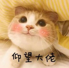 哪把武器才是冒险模式当之无愧的霸主？