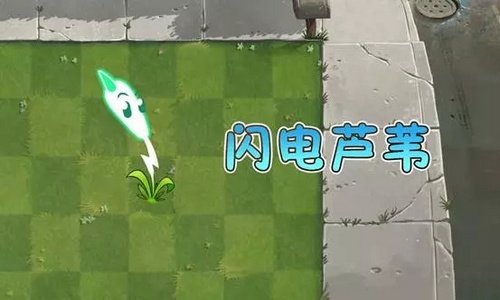 植物大战僵尸2