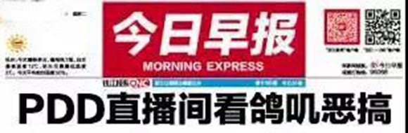 鸽叽大赛战况激烈,王者荣耀疑似过气