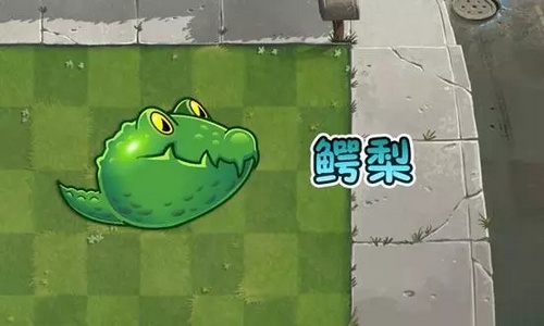 植物大战僵尸2