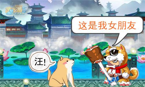 而康茶馆第八期：光棍节