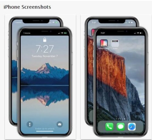 iPhone X