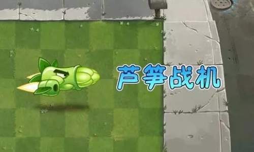 植物大战僵尸2