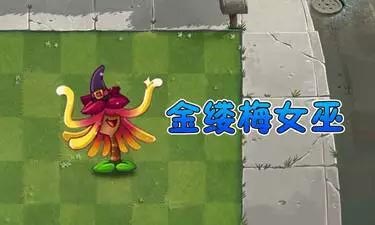 植物大战僵尸2