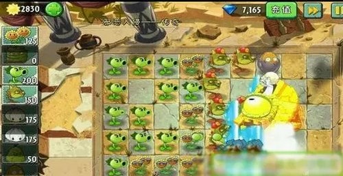 植物大战僵尸2