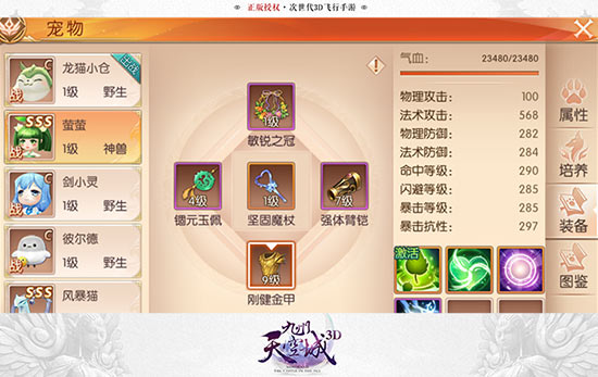 宠物界面