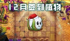 植物大战僵尸2十二月签到植物介绍 听说你还没有获得它们