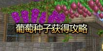 奶块葡萄种子怎么得 葡萄种子怎么种