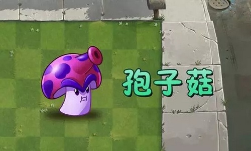 植物大战僵尸2
