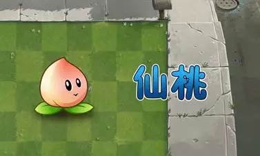 植物大战僵尸2