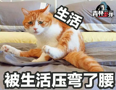生死狙击青林歪弹(tán)第33期 一把被生活压弯了腰的武器