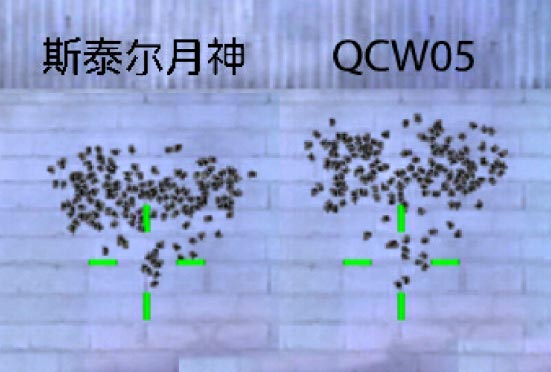 CF手游弹道2