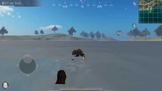 游泳