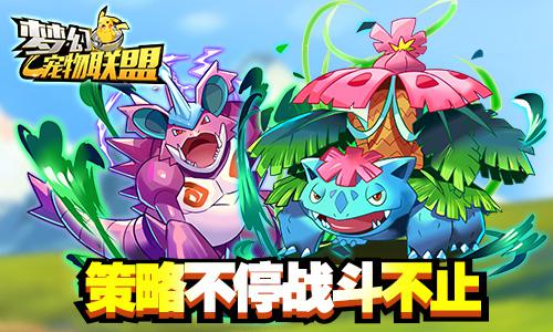 梦幻口袋联盟