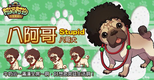 八哥犬