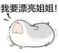 我要漂亮姐姐！