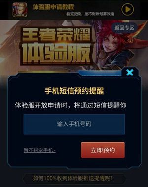 王者荣耀体验服预约