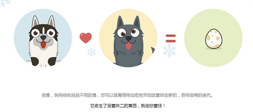加密狗
