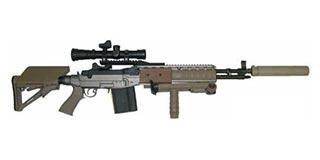 光荣使命Mk14EBR